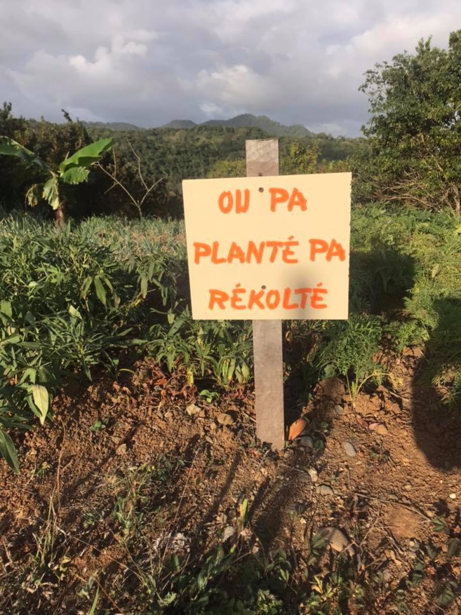 Quatre exploitations agricoles bientôt arrosées grâce à la CTM.