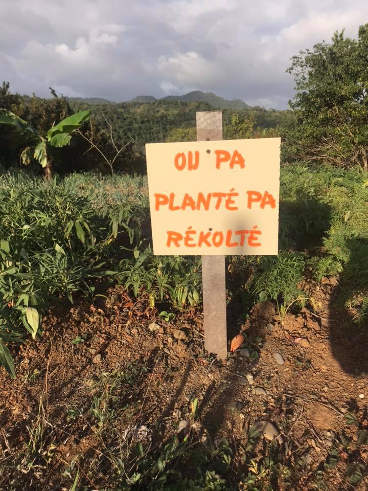 Quatre exploitations agricoles bientôt arrosées grâce à la CTM.