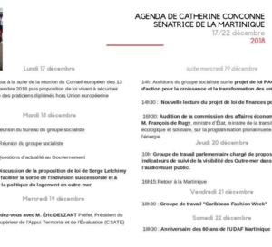 Agenda politique de Catherine Conconne.