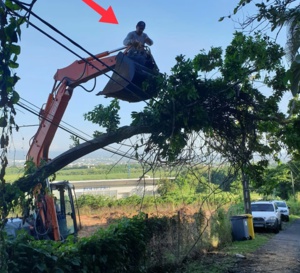 Ducos, un arbre tombe sur des lignes électriques et téléphoniques.