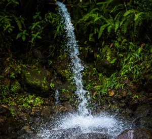 Résultat du conseil d'Etat : Dans le nord c'est la SME qui distribuera l'eau finalement  !