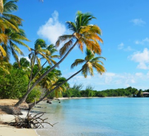 Toutes les plages de Sainte-Anne seront ouvertes à la baignade ce mardi .