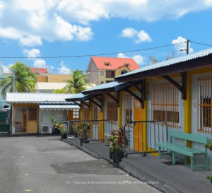 Un menu végétarien pour les écoliers de Fort de France  !