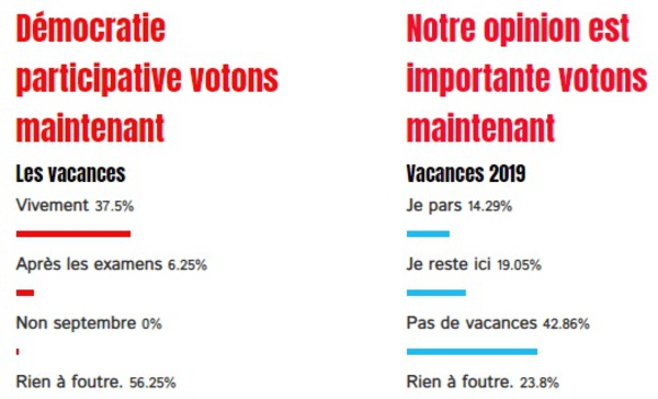 Que pensez-vous faire de vos vacances ?