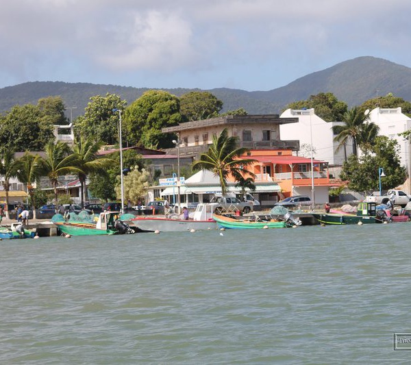 ALBIOMA : Mise en service de la centrale photovoltaïque avec stockage de Sainte-Rose en Guadeloupe