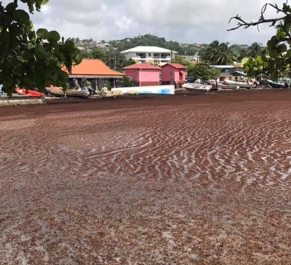 Le Robert - Martinique - 16 août 2019 - l’air est irrespirable ! ( Contribution lecteur ) 