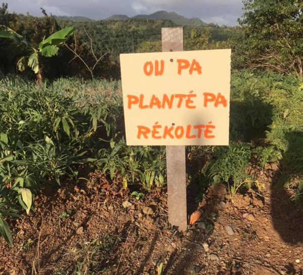 Quatre exploitations agricoles bientôt arrosées grâce à la CTM.