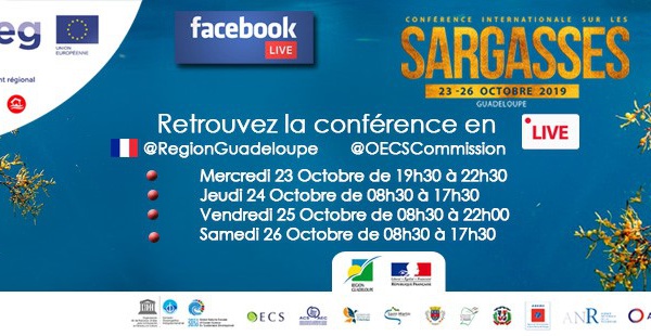 En direct de la Guadeloupe, Conférence Internationale sur les Sargasses. 