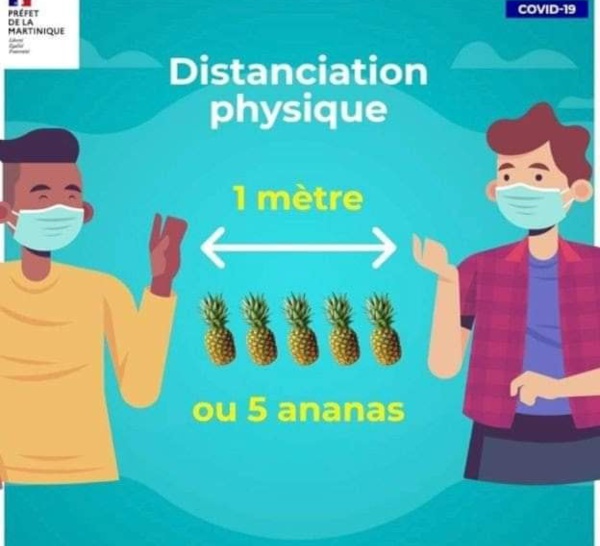 Le préfet de Martinique s’excuse de la créativité "ananastèque" de son service communication